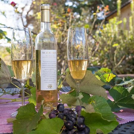 Podere La Casetta - Casa Di Campagna มอนตาโยเน ภายนอก รูปภาพ