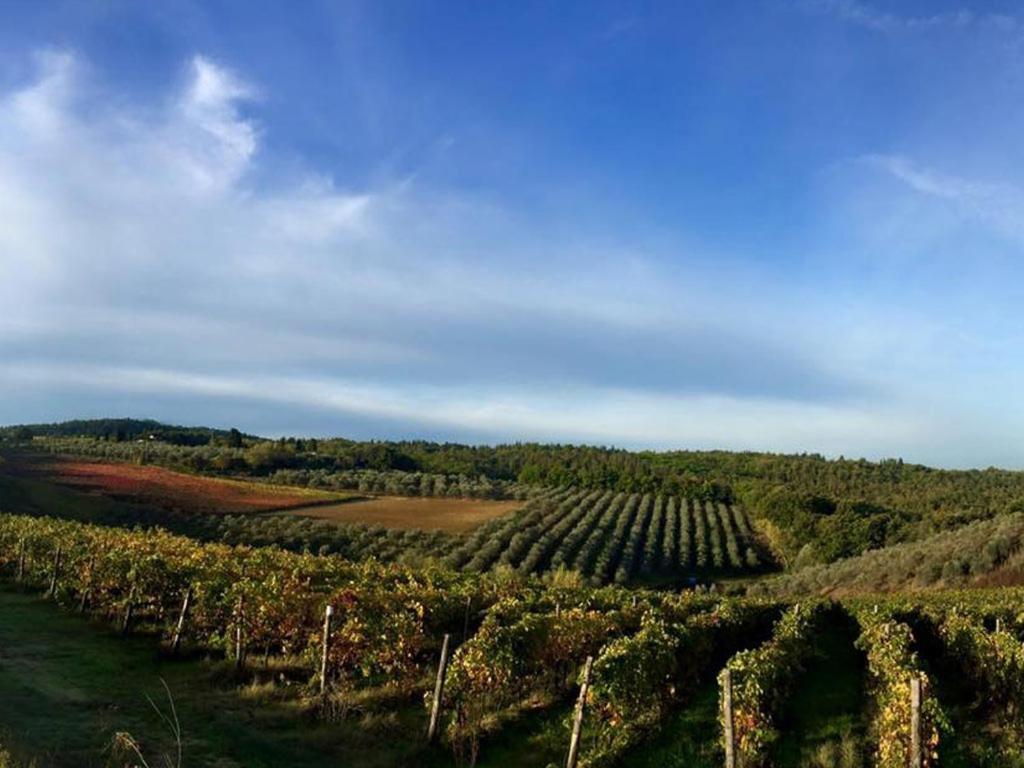 Podere La Casetta - Casa Di Campagna มอนตาโยเน ภายนอก รูปภาพ