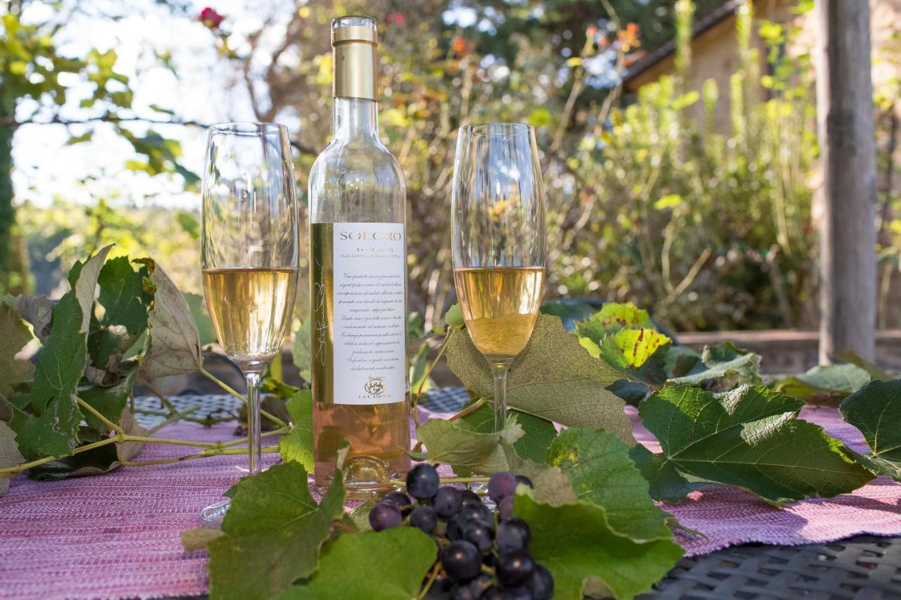 Podere La Casetta - Casa Di Campagna มอนตาโยเน ภายนอก รูปภาพ