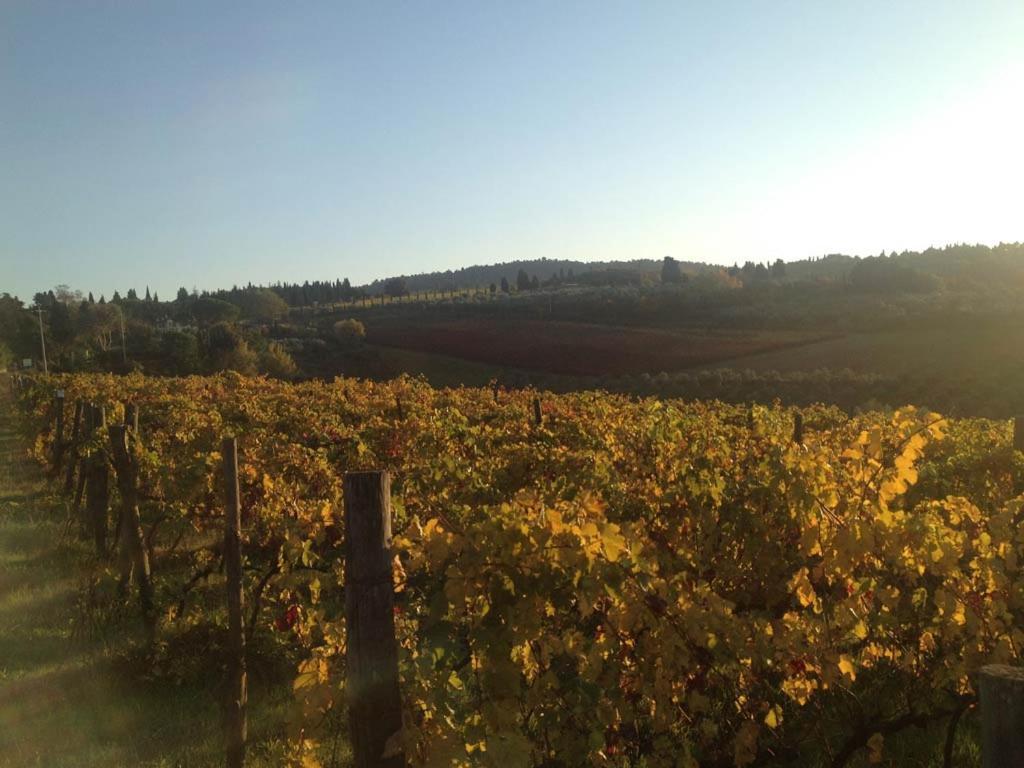 Podere La Casetta - Casa Di Campagna มอนตาโยเน ภายนอก รูปภาพ