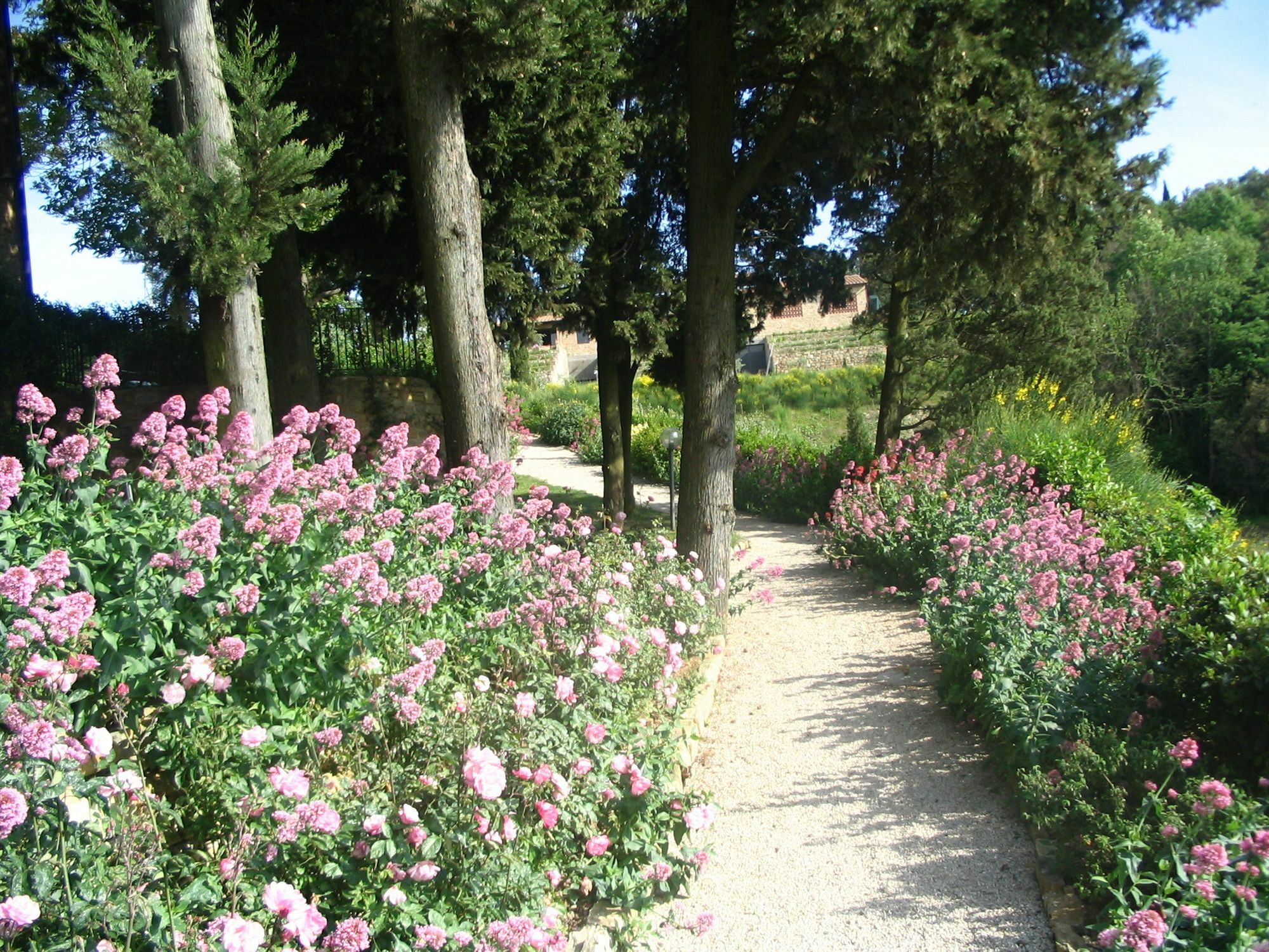 Podere La Casetta - Casa Di Campagna มอนตาโยเน ภายนอก รูปภาพ